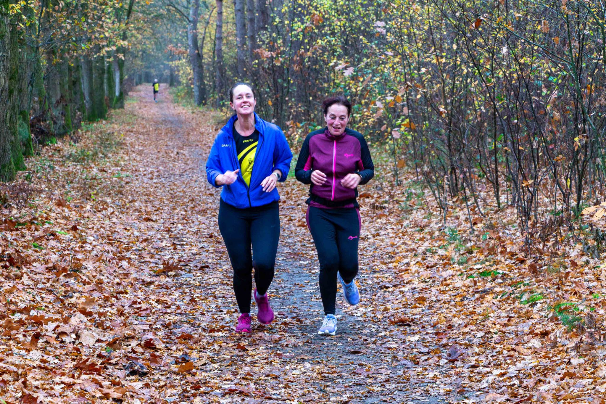 Grenslaup Vosseven, Halve van Ell, snor!